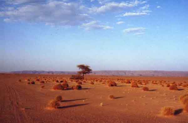 Alg23.JPG (12111 Byte)